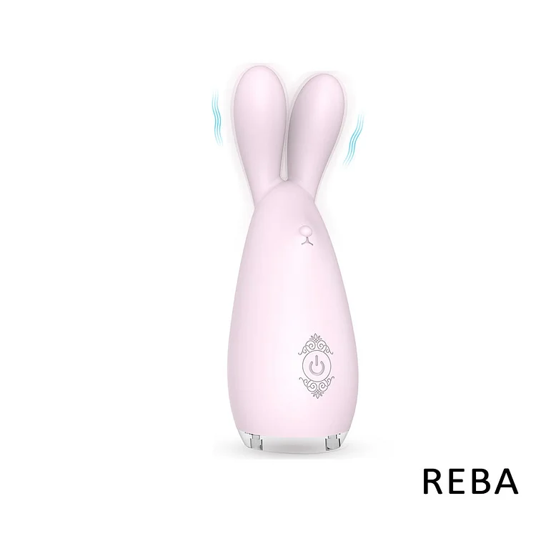 Rabbit Dildo Clitoris Stimulate Usb Charger