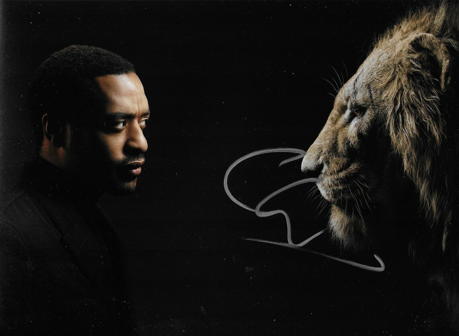 Chiwetel Ejiofor Signed The Lion King 12x8 Photo Poster painting AFTAL