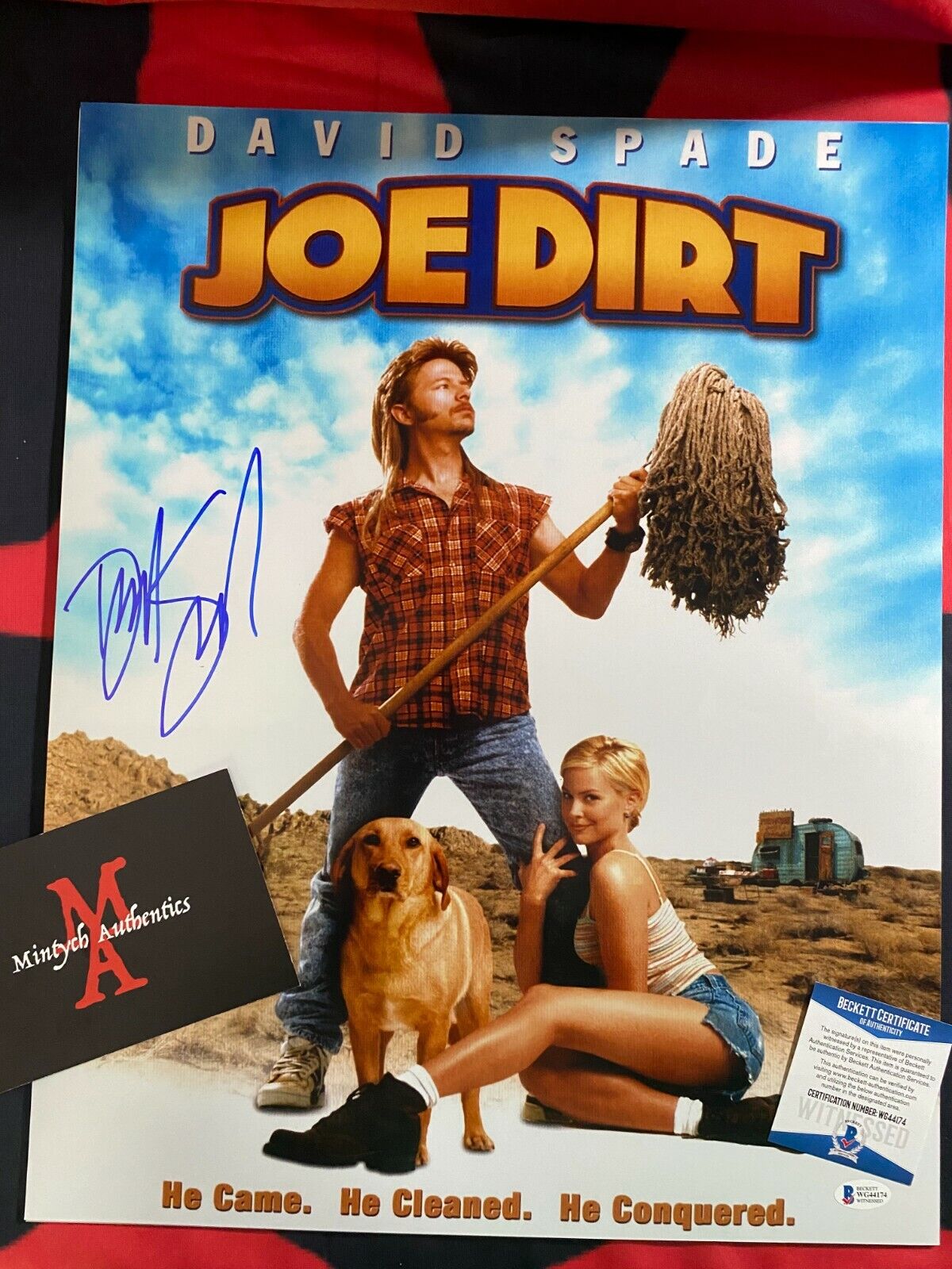 DAVID SPADE AUTOGRAPHED SIGNED 16x20 Photo Poster painting! JOE DIRT! BECKETT COA!