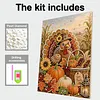 Turkey Framed Pearl Painting Kit 30x40cm for Adults