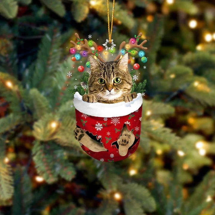 Cat 43 In Snow Pocket Christmas Ornament.