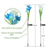 Lanterna Giglio Energia Solare Fiore di Giglio