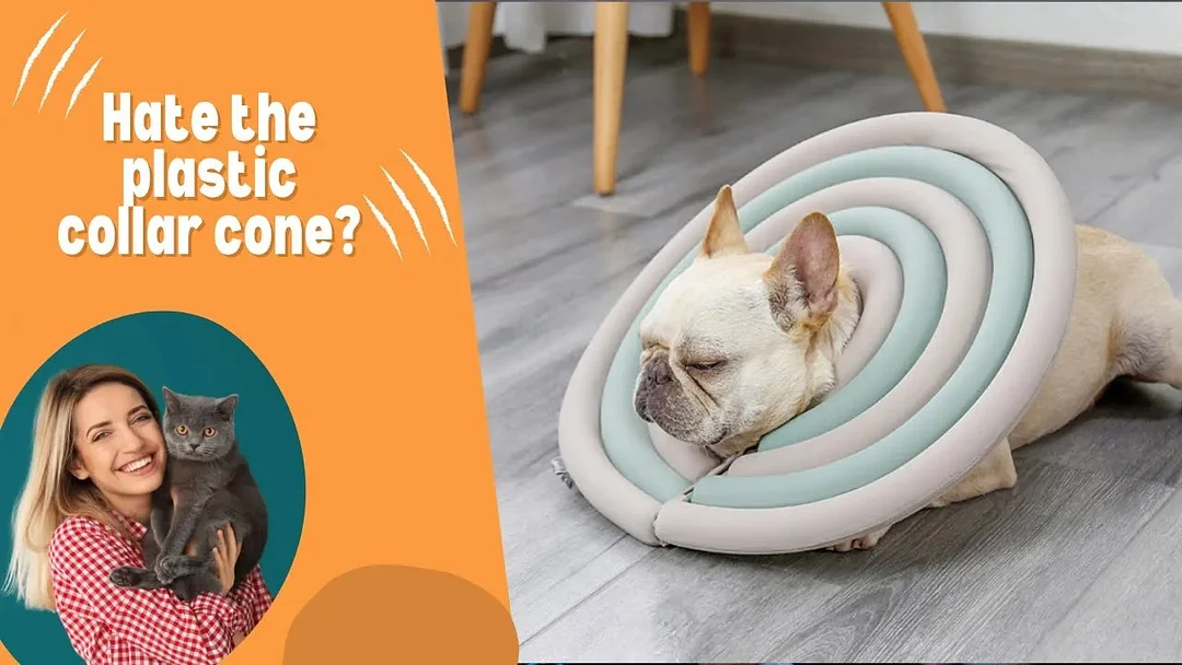 Dog & Cat Elizabethan Surgery Recovery Collar