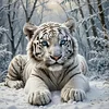 Diamond Painting-DIY Full Round Drill Snow White Tiger(40*40 CM)