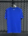 2025/2026 Everton Home Football Shirt 1:1 Thai Quality