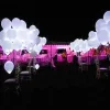 10 Pack | 12" White Latex LED Light Up Balloons