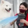 Violent Fan Handheld Air Dryer Lightweight Car Dryer for Cars Computer Keyboards