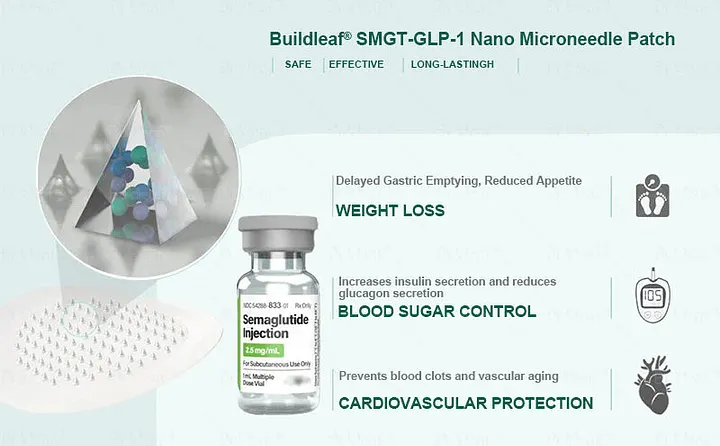 buildleaf smgt glp 1 nano microneedle patch GLP-1 for Women, Moisturizing Firming Skin and Body Shaping Care Patch (6Box smgt glp 1 croaie smgt
