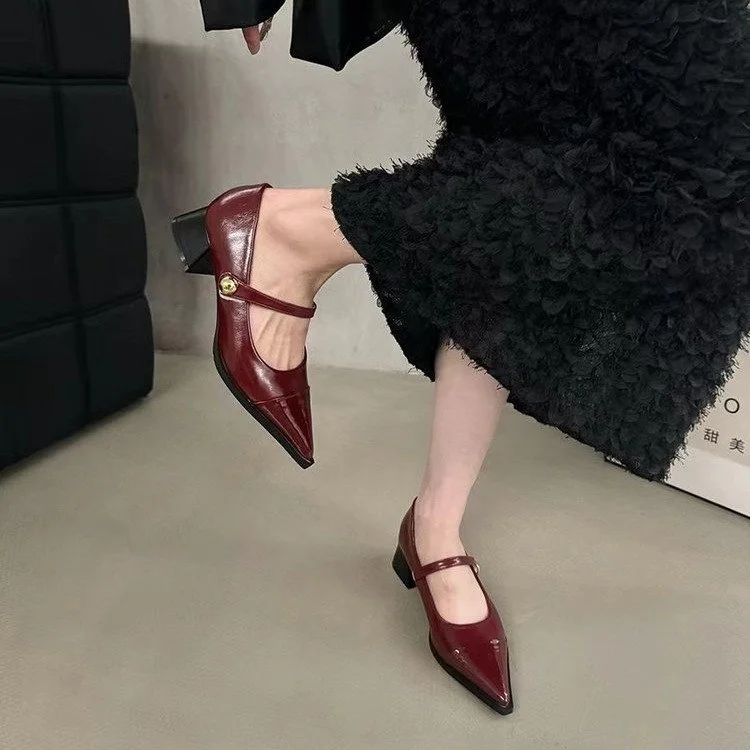 Yyvonne Small Leather Shoes Women 2025 New Spring Thick Heel Low Heel High Heels Retro French Temperament Mary Jane Single Shoes