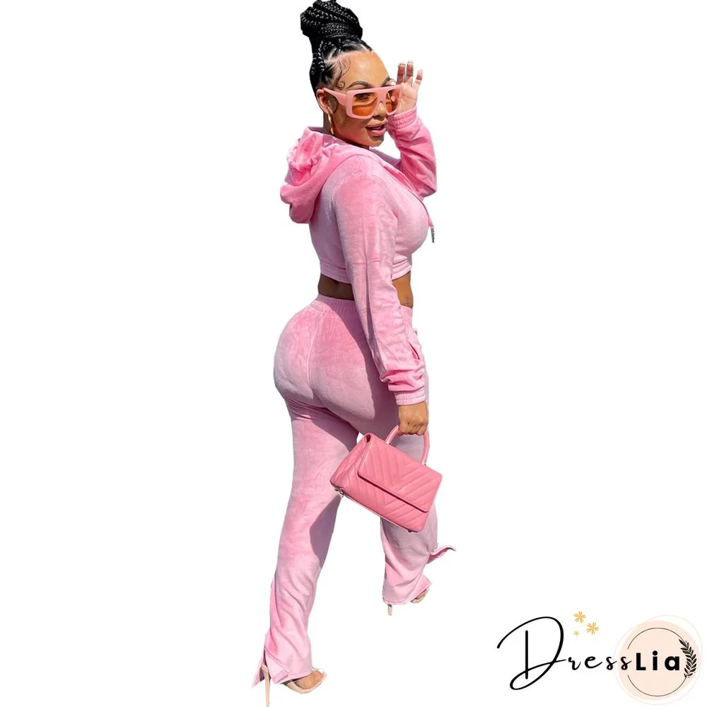 Zipper Hooded Jacket Flare Pants Velvet Two Piece Set