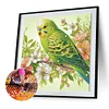 Perroquet-Peinture diamant en forme sp&eacute;ciale-30*30cm