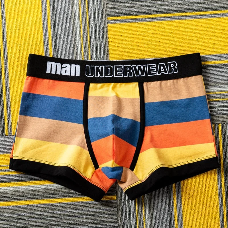 Aonga 2025 Boxer Men Brand Luxury Cotton Youth Breathable Sports Underwear Homme Personality Men's Boxer Briefs Stripes  Man Underpants aonga