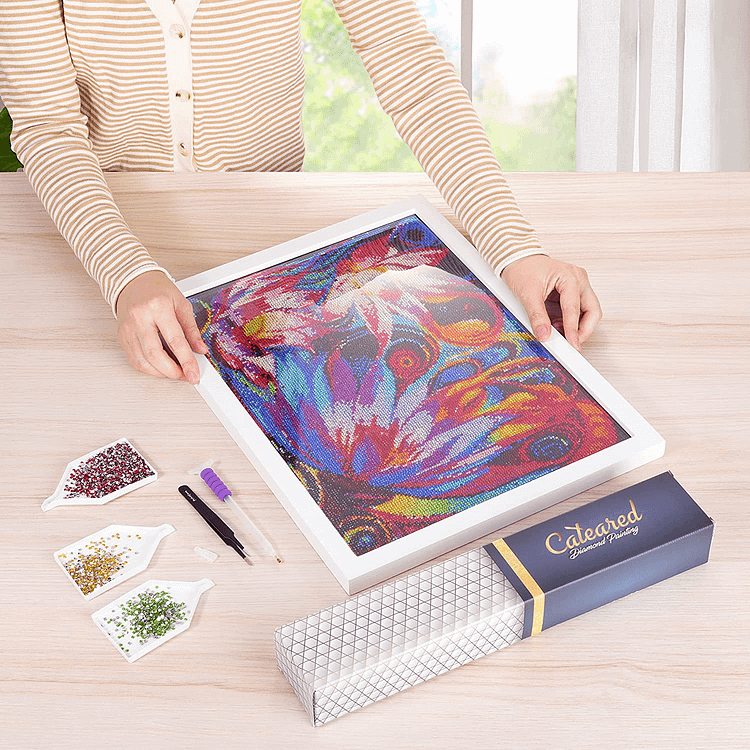 Assorted Crystal Diamond Painting Kits with Frame