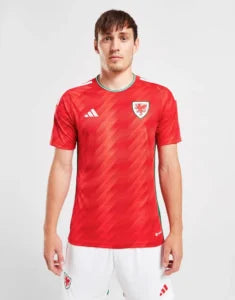 Pays de Galles maillot domicile  coupe du monde 2022 Maillot De Fou, site maillot de foot pas cher
