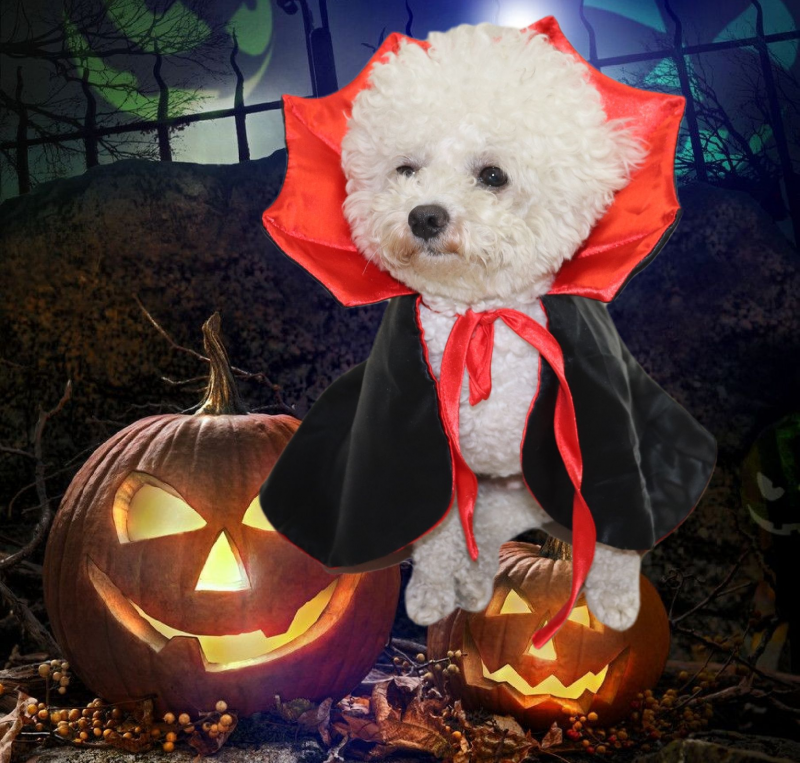 Pet Dog Cat Vampire Cosplay Halloween Costume-VESSFUL