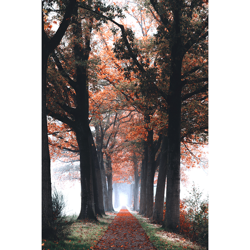 

Woods - 1000 Pieces Jigsaw Puzzle, 501 Original