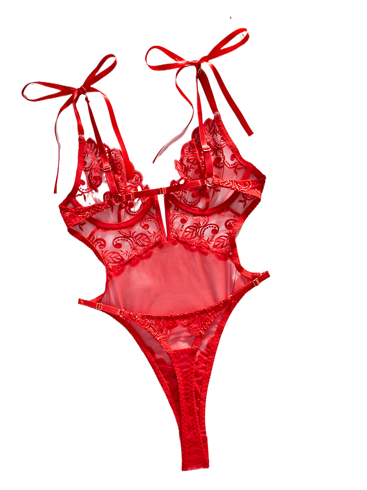 Lace Embroidered Sheer Sexy Temptation Shaping Bodysuit