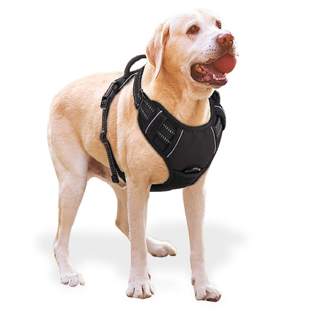 

Dog Harness Reflective Breathable Adjustable Pet Vest for Cat Outdoor Walk, Xl, 501 Original