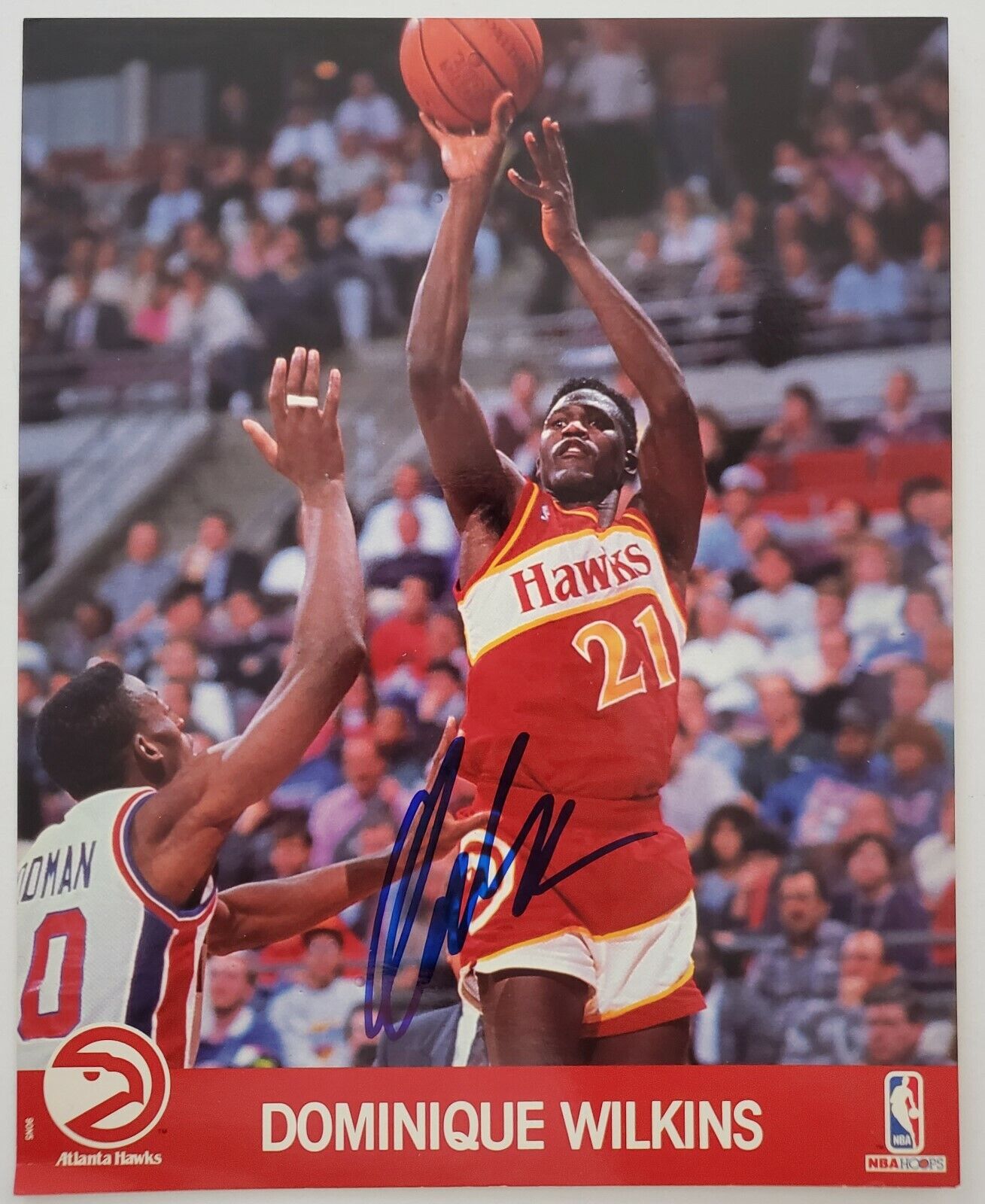 Dominique Wilkins Signed 8x10 Photo Poster painting NBA Hoops Atlanta Hawks Cardstock HOF RAD