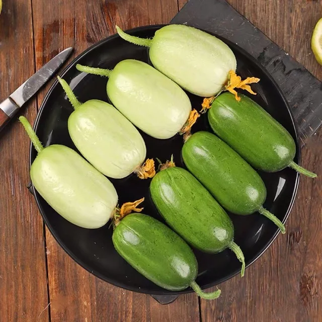 THUMB CUCUMBER-GOLDEN BOY LADY CUCUMBER
