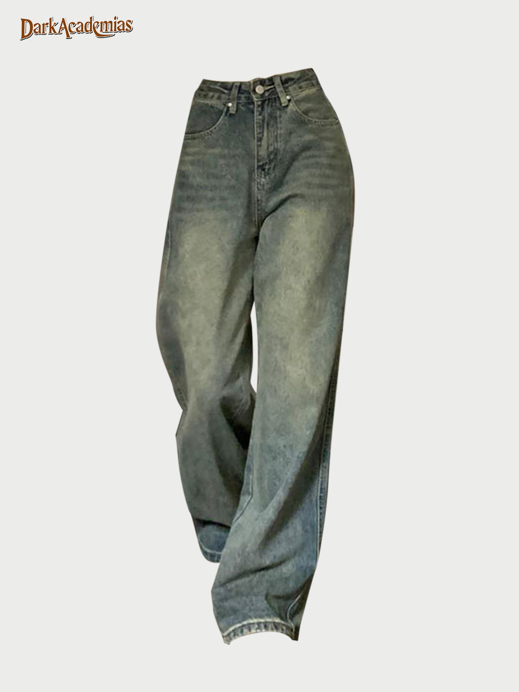 Techwear Shop DarkAcademias Distressed Washed Vibe Jeans