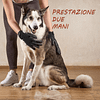 Guanti da toeletta per animali domestici (1 paio)