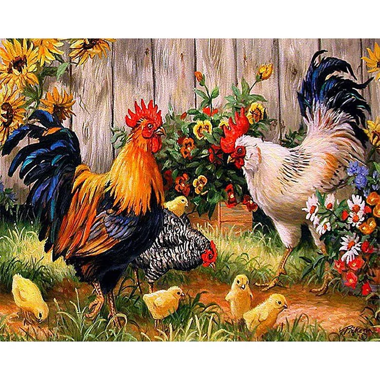 Flower Chicken - Painting By Numbers - 40x50cm