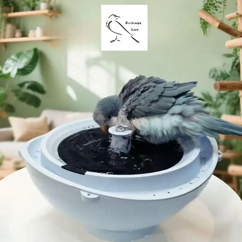 Live Water Circulation Parrot Bathing Machine  Birdcagelab