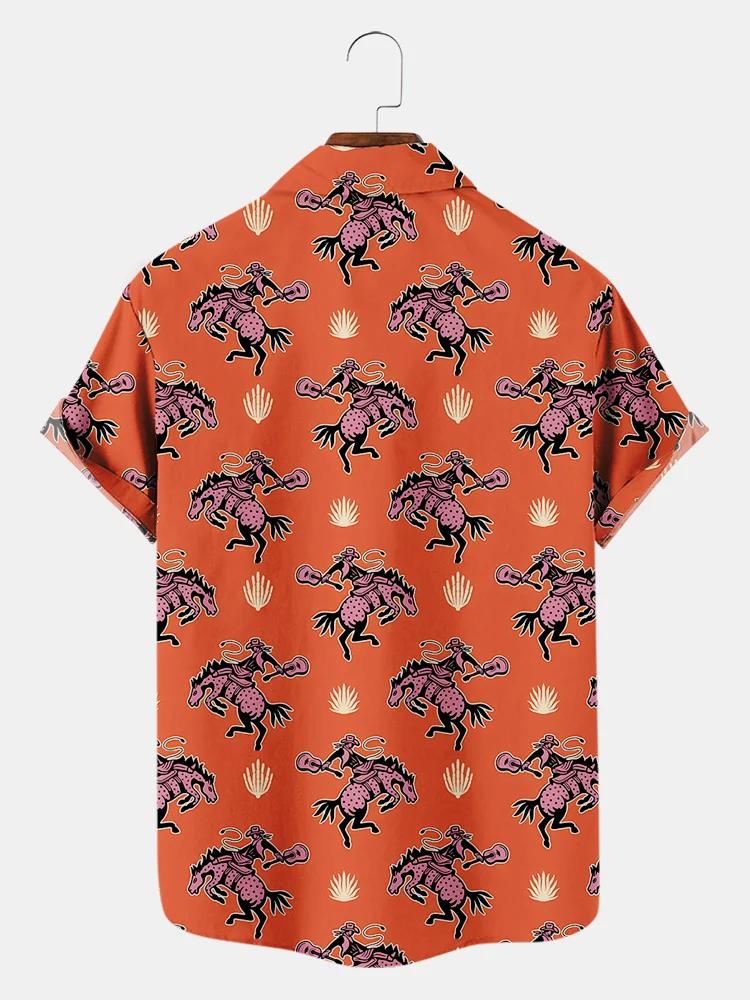 Assorted western shirts – YZ