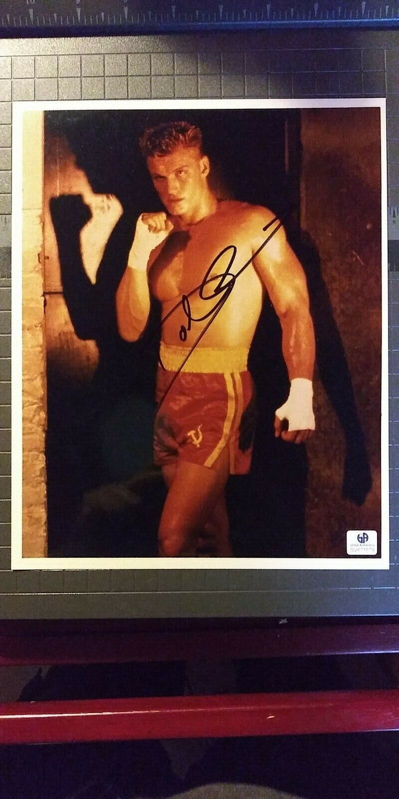 Dolph Lundgren signed 8x10 COA GAI