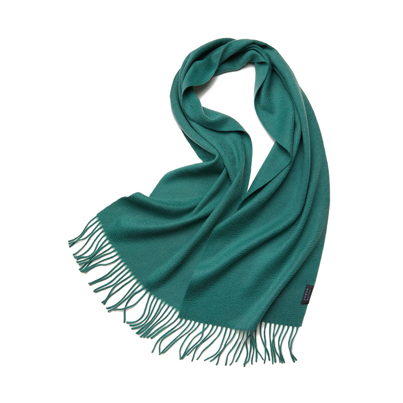 Solid Tassels Cashmere Scarf REAL SILK LIFE