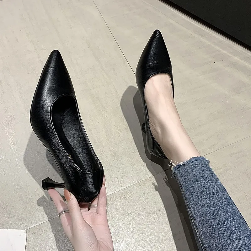 Breakj Breakj High Heels Fine Heel 2025 New French Commuting Work Career Black Single Shoes Soft Leather Women's Shoes Spring
