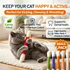 ❤️For happy, healthy, and active indoor cats🐱Swabs Large Size Cat Toys with Catnip