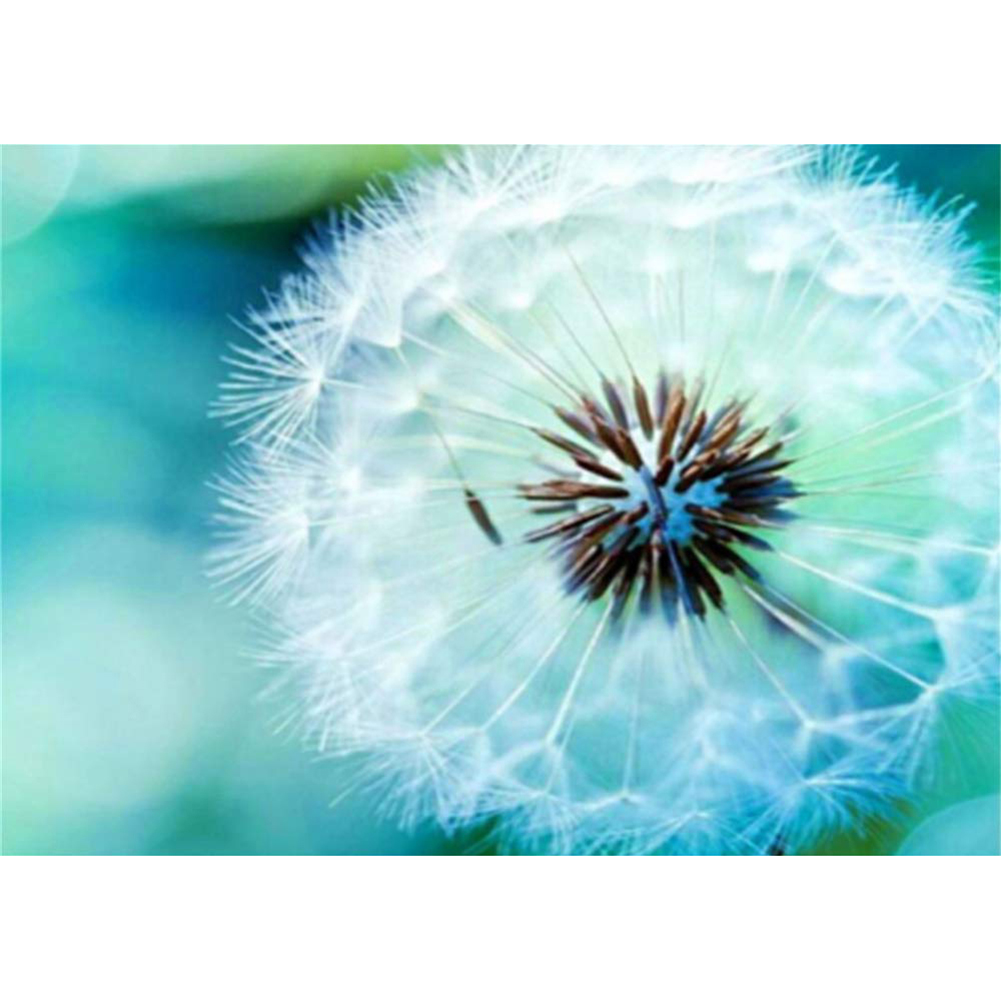 

40*30CM - Round Drill Diamond Painting - Dandelion, 501 Original