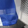 Joyfball 2025/2026 Player Version Al-Hilal Saudi Training Football Shirt（The player version jersey is a bit tight, please pay attention to the size selection）