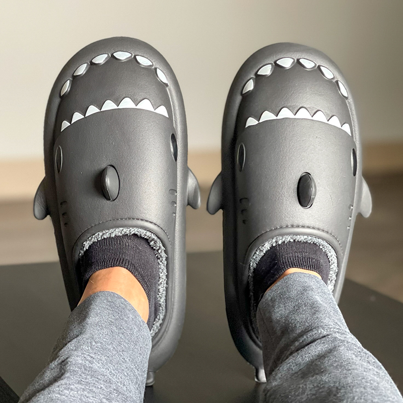 the cloud sharks winter