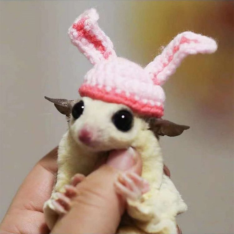 petlora Handmade Knit Hat for Small Pets