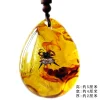 Insect Amber Pendant Natural Butterfly Specimen Insect Amber Necklace Children's Hanging Accessories