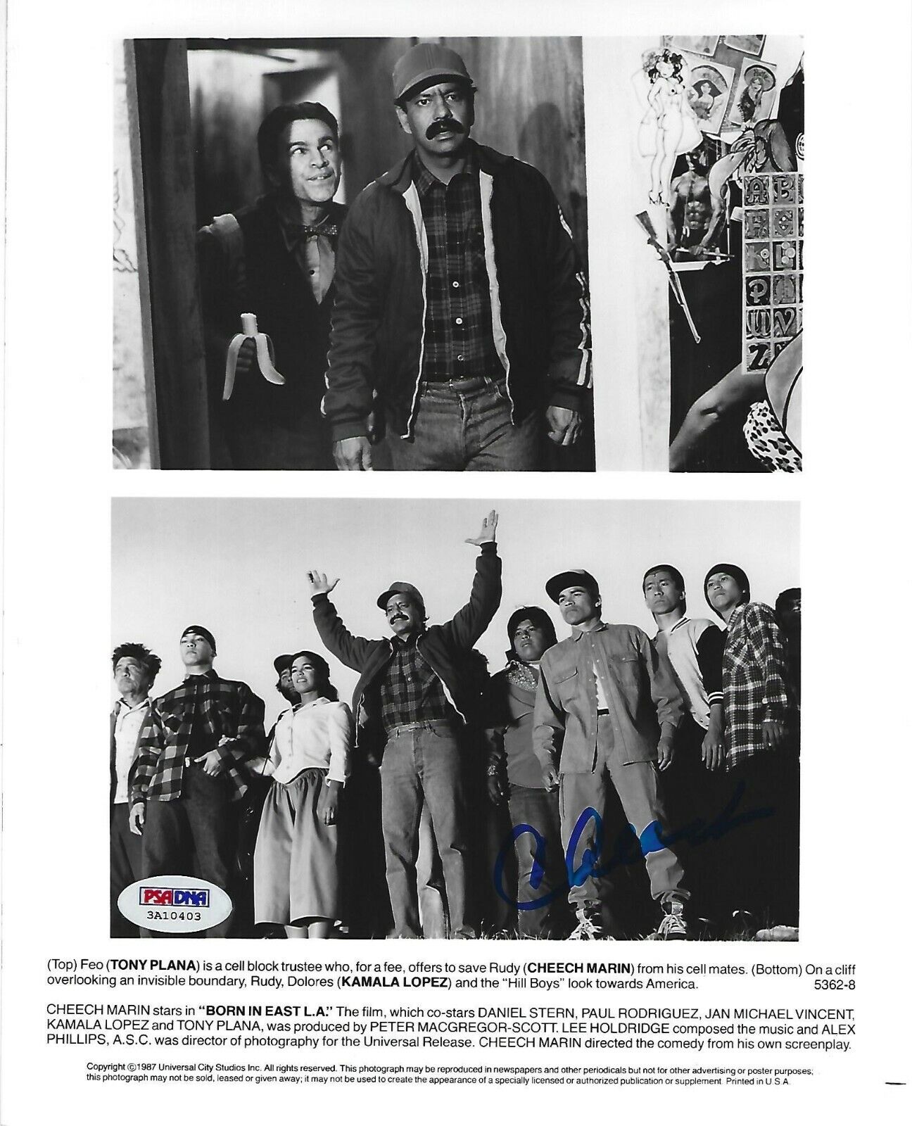 Cheech Marin Signed 8x10 Photo Poster painting PSA/DNA COA Original Born in East LA 1987 Picture