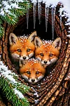 Luxury AB Velvet Diamond Painting Kit - Foxes