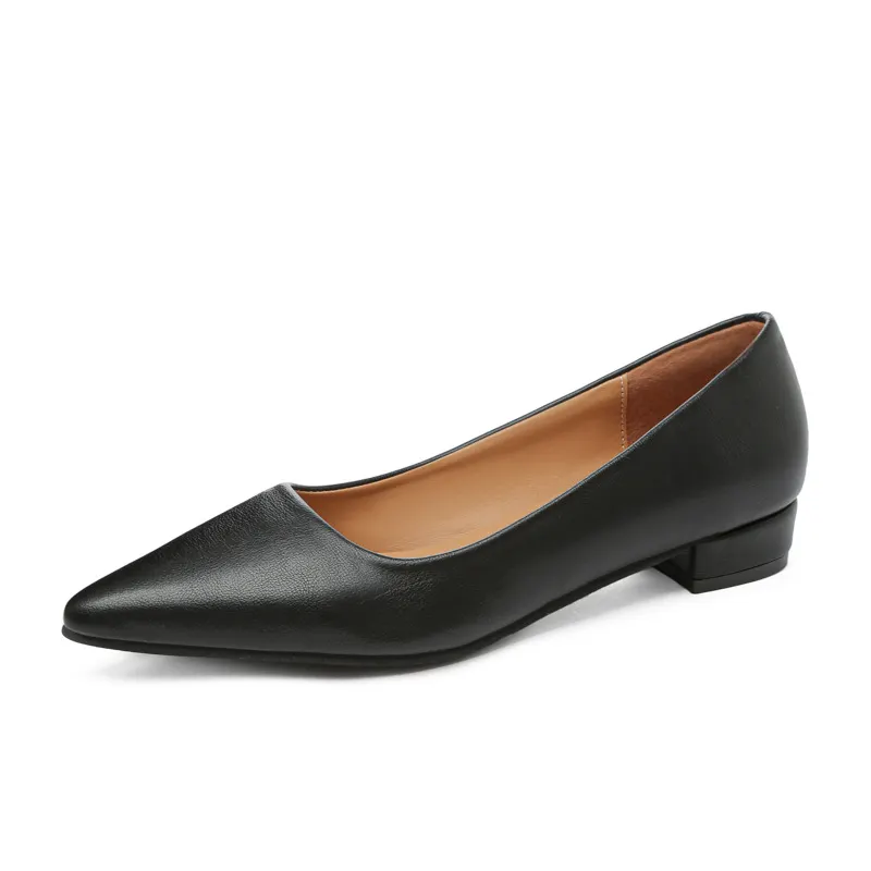 Breakj Breakj Pointed Light-Mouthed Square Heel Small Leather Shoes Women Business And Leisure Elegant Commute Single Shoes Fashion High Heels Women Four Seasons