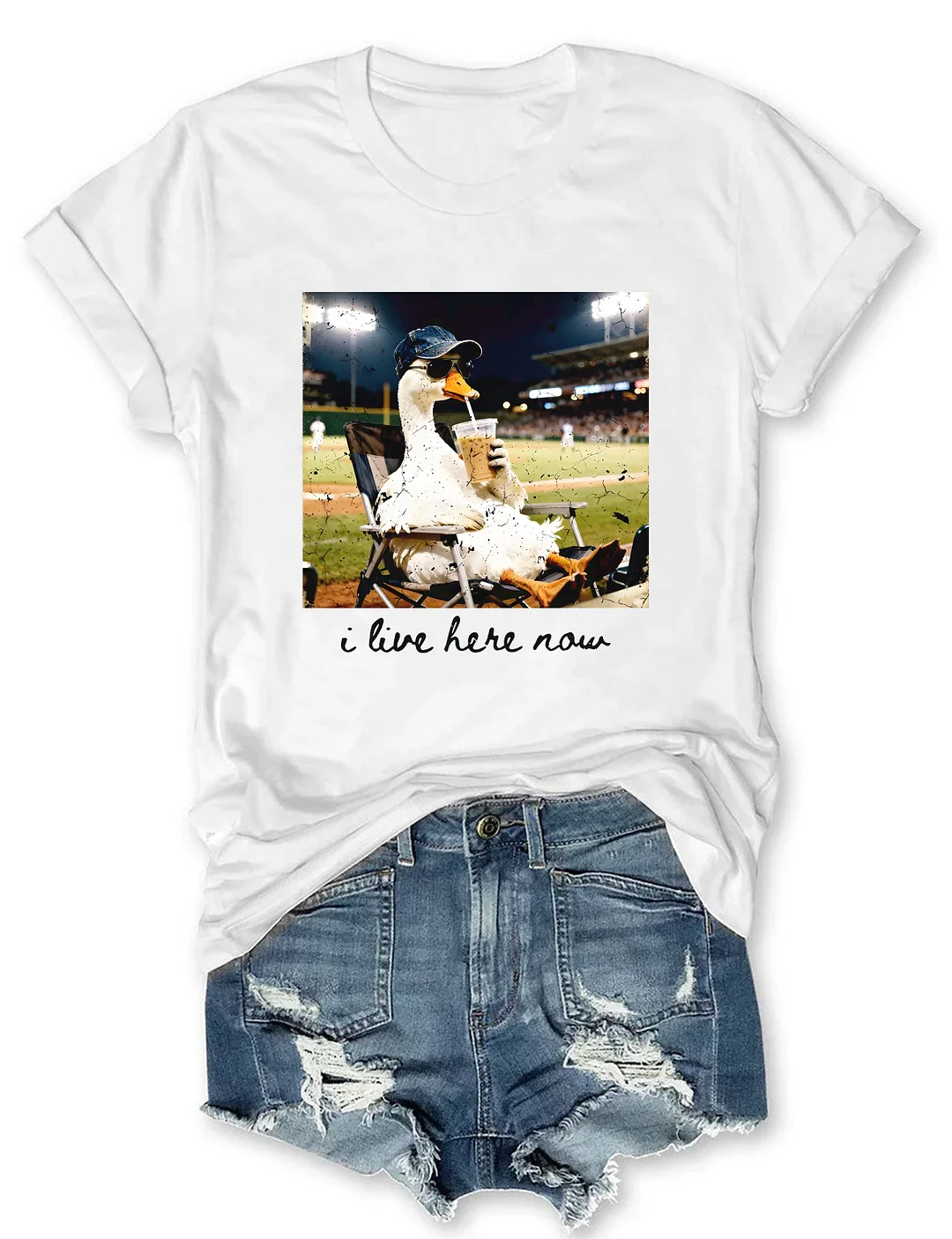 I live Here Now Goose Ballfield T-shirt
