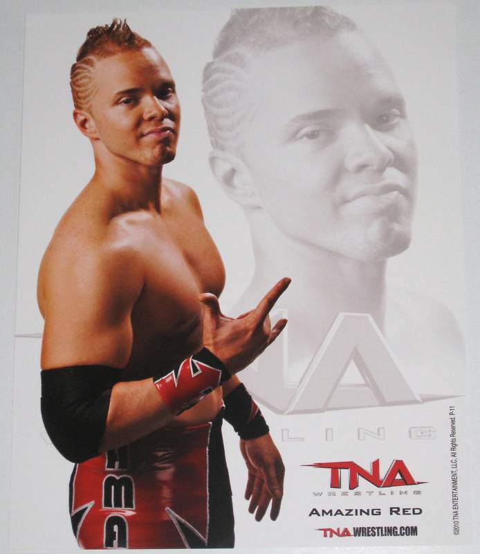 TNA AMAZING RED P-11 OFFICIAL LICENSED 8X10 PROMO Photo Poster painting