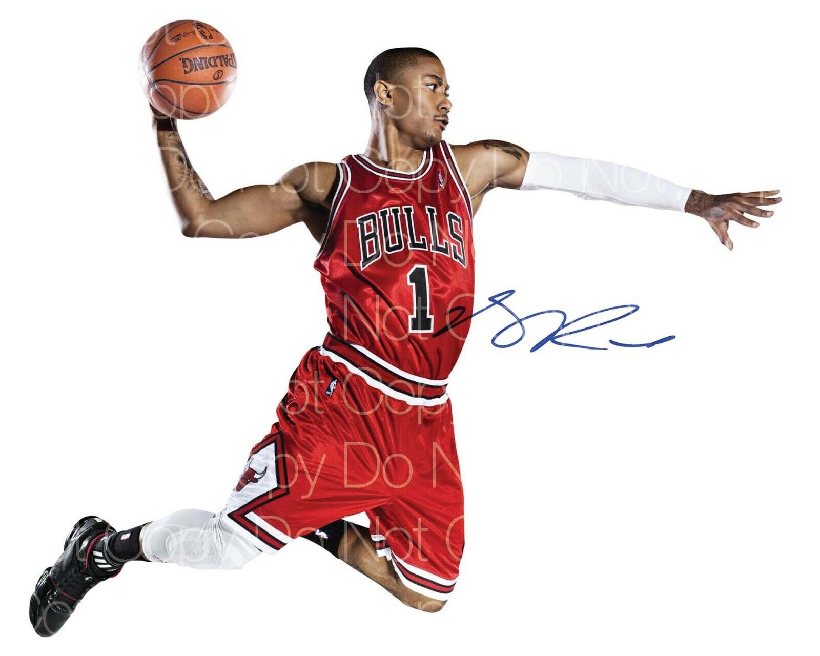 Derrick Rose Chicago Bulls signed 8X10 inch Photo Poster painting picture poster autograph RP