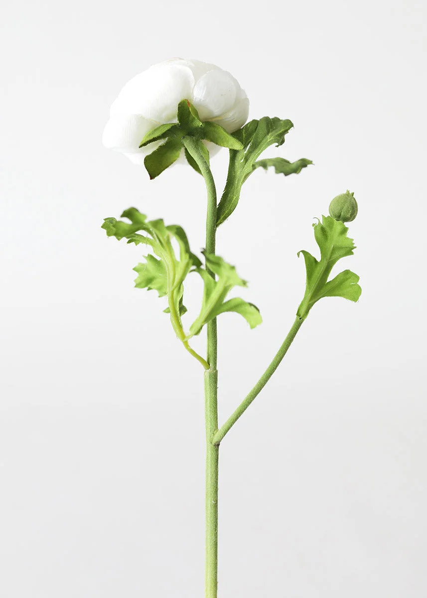 Silk Ranunculus in Cream - 13"