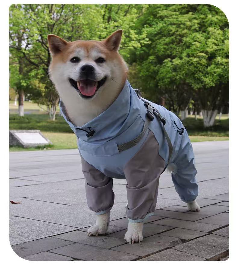Morning Light Blue Raincoat For Dogs And Cats