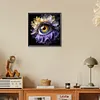 5D DIY Full Round Drill Diamond Painting Eye Kit Home Decor Art Craft 30x30cm (B)