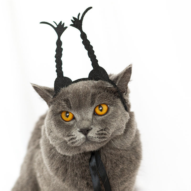 Purrfect Twist: Quirky Cat Cosplay Braids & Whimsical Dog Photo Props