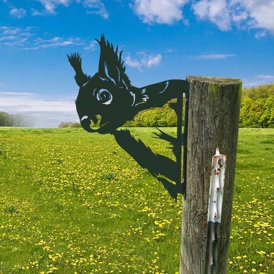 Squirrel The art of metal voyeur