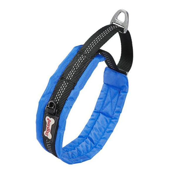 Martingale dog collar